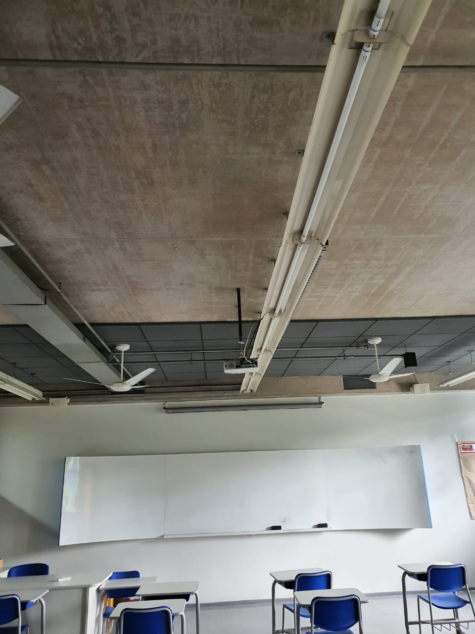 WhatsApp Image 2020-01-26 at 15.46.30.jpeg