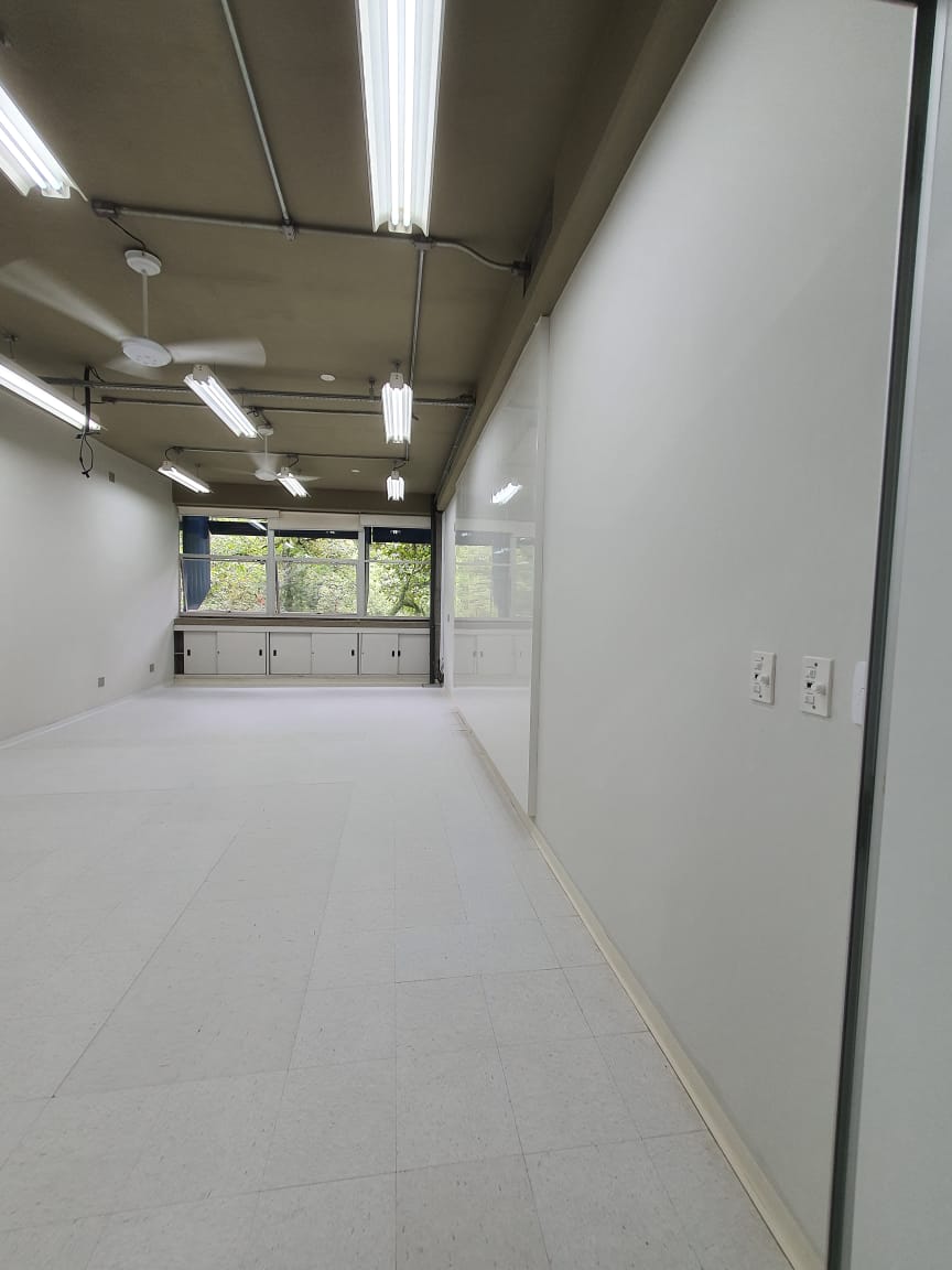 WhatsApp Image 2020-01-26 at 15.45.53.jpeg